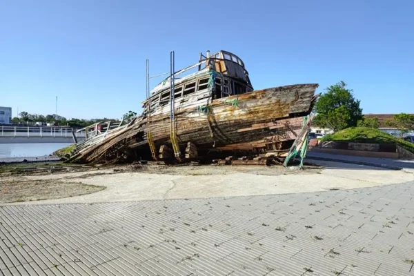 Szwedzki okręt Vasa z polskiego drewna? Nowe badania zaskakują