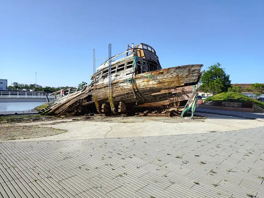 Szwedzki okręt Vasa z polskiego drewna? Nowe badania zaskakują