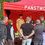 Usuwanie gniazd owadów błonkoskrzydłych w Kamieńcu – interwencja OSP Susz
