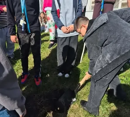 Uczniowie klasy 5c posadzili drzewa miododajne przy swojej szkole