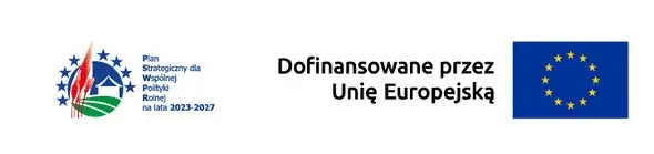 Zalewo: przystań żeglarska przejdzie kompleksową modernizację z OZE