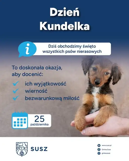 Dzień Kundelka 2026 – święto psów bez rodowodu i miłości bez warunków