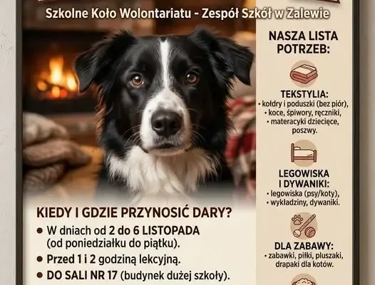 Zbiórka darów dla schroniska „Psi Raj” w Pasłęku – szkoła organizuje pomoc