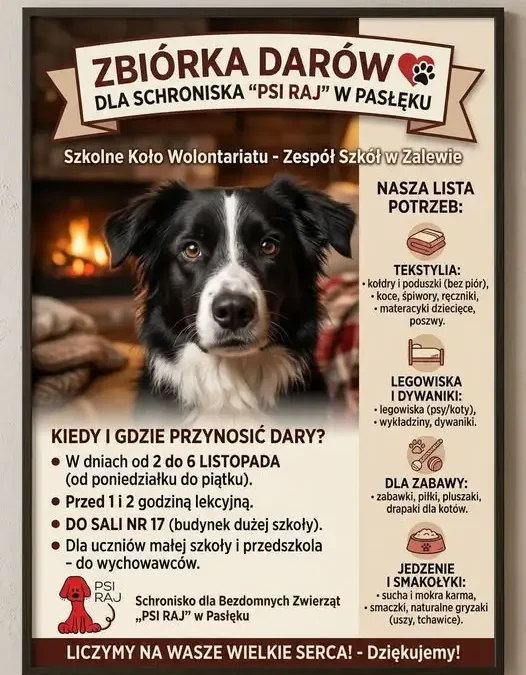 Zbiórka darów dla schroniska „Psi Raj” w Pasłęku – szkoła organizuje pomoc